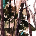 CD REZI GRUNGE / FOLK / PUNK: HOP ALONG - BARK YOUR HEAD OFF, DOG