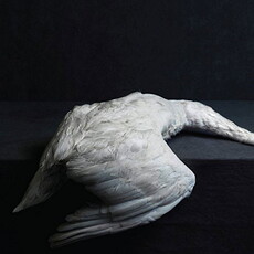 CD REZI DOOM: AMENRA - MASS VI
