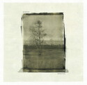 CD REZI STONER/PSYCHEDELIC: KALAMAHARA - GREENER FIELDS