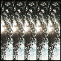 CD REZI HIPPIE-BREW ROCK: PONTIAK