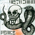 CD REZI DESERT ROCK: VISTA CHINO