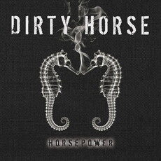 CD REZI BLUESROCK: DIRTY HORSE