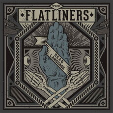 CD REZI MELODIC PUNK: THE FLATLINERS
