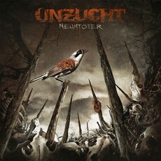 CD REZI DARK-ROCK: UNZUCHT