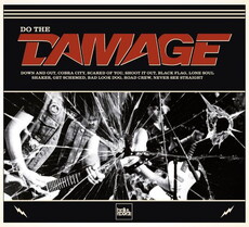 CD REZI PIMMELROCK: DAMAGE