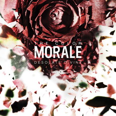CD REZI POST-HARCORE/POST-ROCK: THE COLOR MORALE