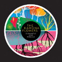 DVD REZI ALTERNATIVE: THE RAMONA FLOWERS