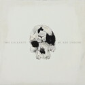 CD REZI LO-FI GARAGE ROCK: TWO GALLANTS